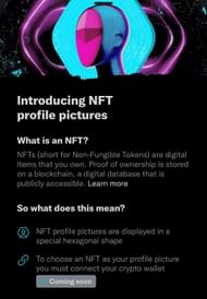New NFT guidelines provided by Twitter that Pokimane referred to (via Twiiter)
